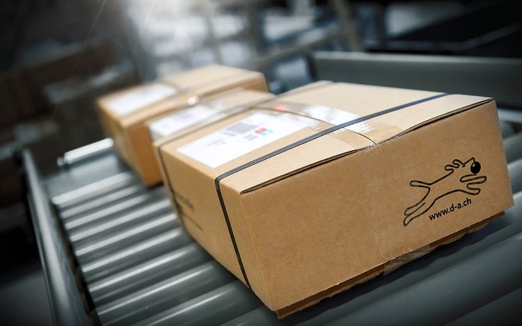 מכלי פלסטיק כחולים זורמים על מסוע גלילים, חלק מפתרון שינוע אוטומטי למכלים במרכז לוגיסטי